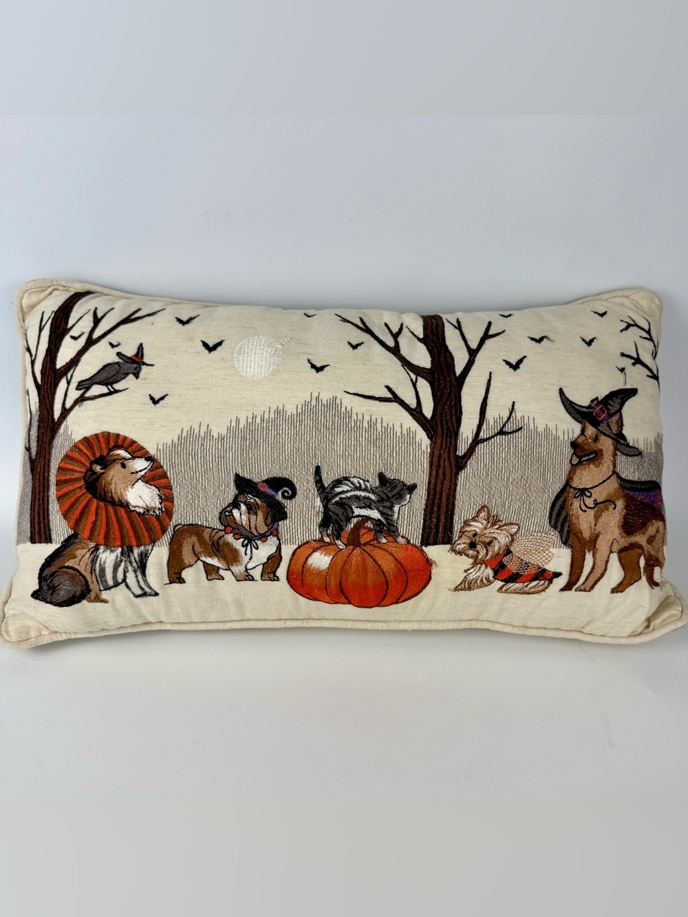 PIER 1 DOG CAT EMBROIDERED  HALLOWEEN LUMBAR PILLOW